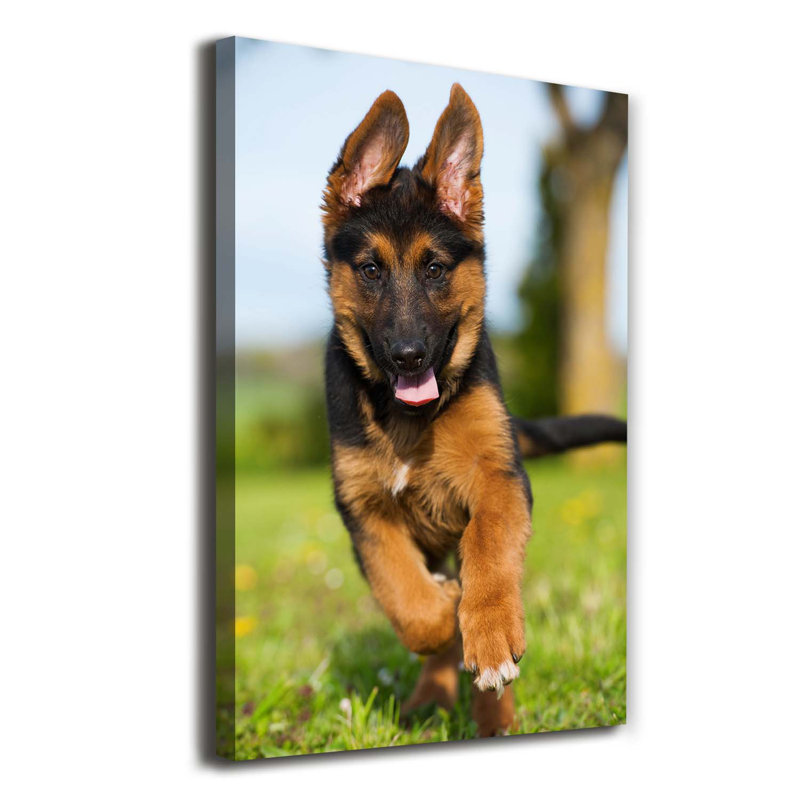 German Shepherd - Wrapped Canvas Print