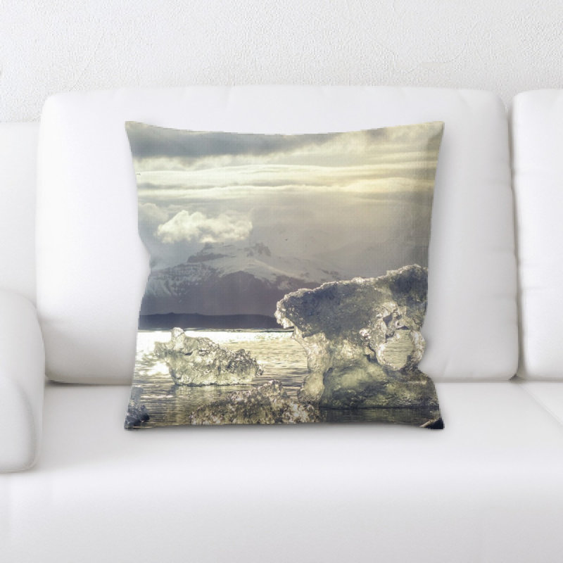 Coussin décoratif ice