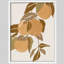 «Fruit on Branch», affiche rustique encadrée-109747425-109747428
