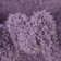Santoshi Performance Indoor Rug