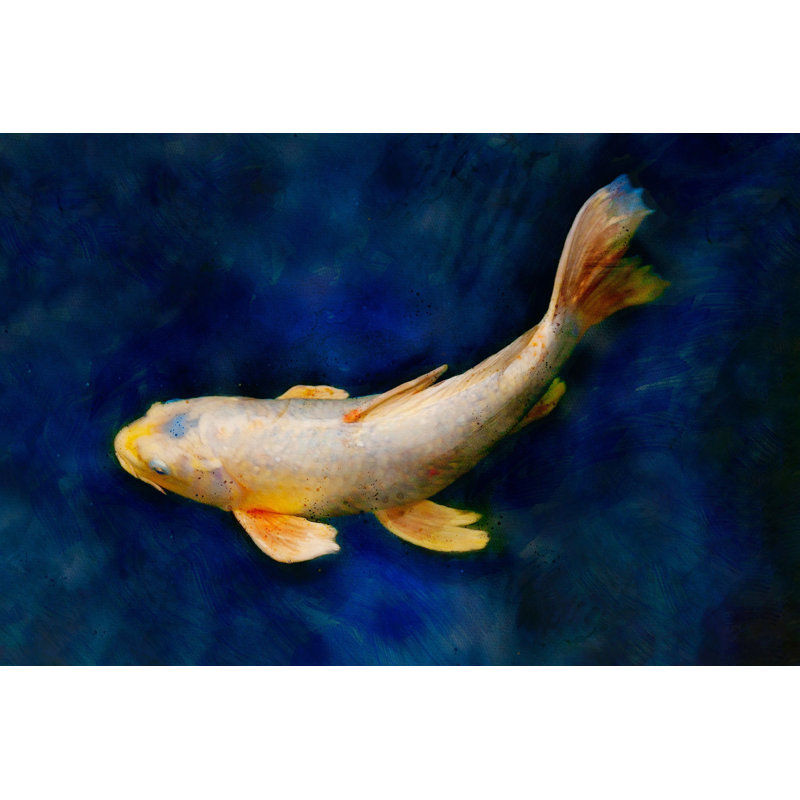 Butterfly Koi - Picture Frame Photograph on Paper , 31.5" H x 22.5" W, White Framed
