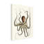 Inconnu, «Antique Octopus Collection I», art sur toile-1508149135