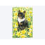 «Motley in Wild Daffodils», impression sur toile-32897948-72233939-72233940