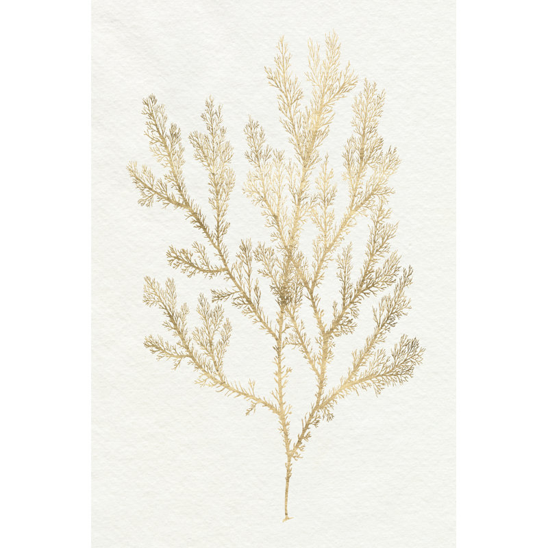 Gilded Algae VI -  Art Prints, 122 cm H x 81 cm W, Black Floater Framed