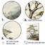 «Forest Redwood Tree Charm V», reproduction sur toile-404301438-404301425