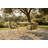 Tembel Outdoor Dining Armchair Aluminum Patio Chair with Cushions Modern Garden Seating for Patio and Cafe