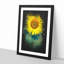 The Sunflower - Framed Print-56851913-56851914