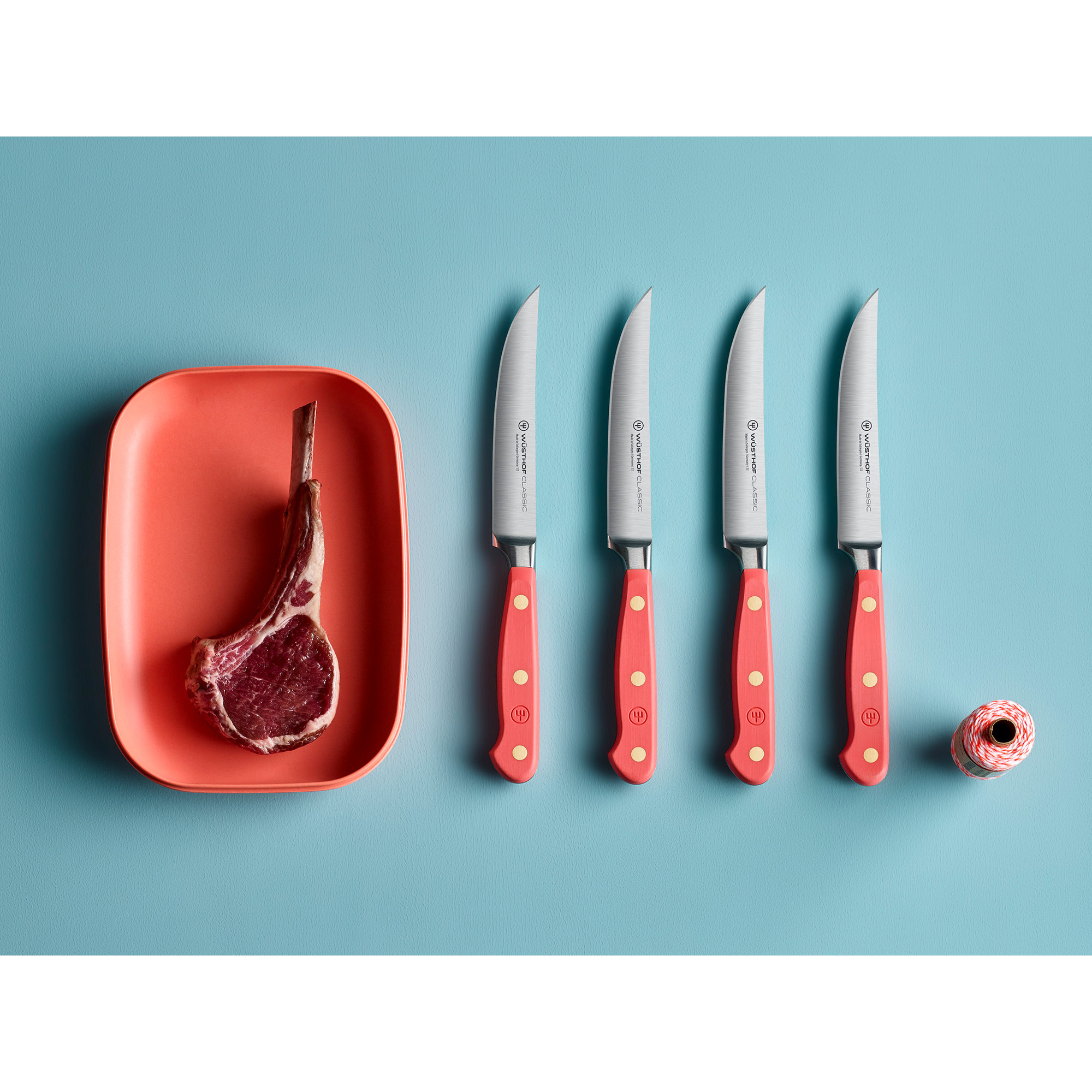 WÜSTHOF German Classic Color 4 Piece Steak Knife Set, Coral Peach