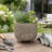 Ceramic Stoneware Planter With Raised Botanical Texture And Footed Base - Modern Decorative Garden Accent