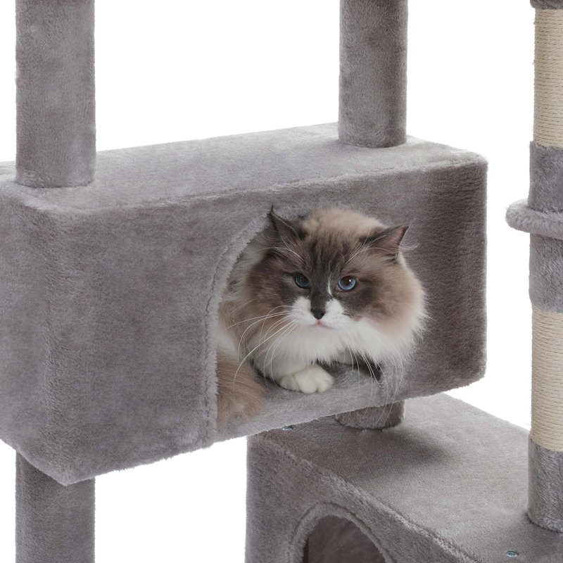 Grand arbre à chat, Gris