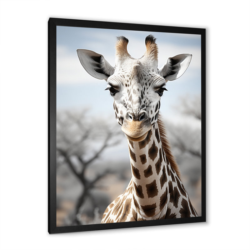 Girafes d'Aubriannah, élégance II - impression, Cadre simple noir, H 20 po x l 12 po x P 1 po