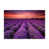 Canvas selected