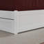 Asparas Solid Wood Platform Bed with Footboard & Roll Out Trundle Bed-631275345-645752985