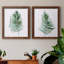 «Sage Frond I», ensemble de 2 peintures sur toile encadrées-1281412207-1281412204
