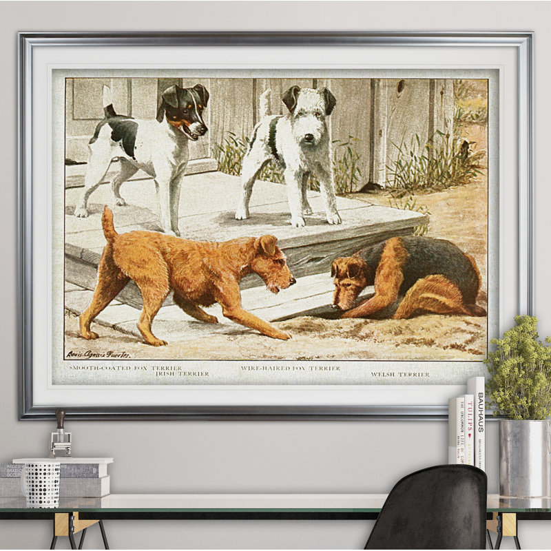 « canin sketch xxi », impression, Cadre argenté, H 31 po x l 43 po x P 1,5 po, Blanc mat