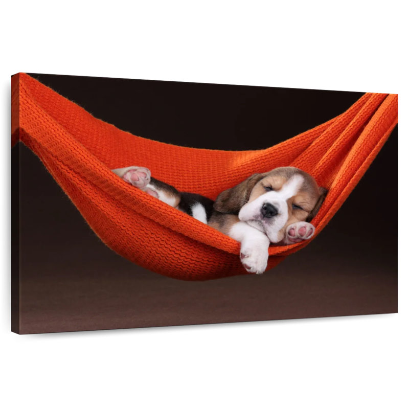 Brampt Beagle In Hammock, 34" H x 51" W