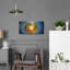 «Parrot Noya 3» par David Manlove-1390019600