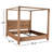 Xaydin Canopy Bed In Brushed Acacia-1990108012