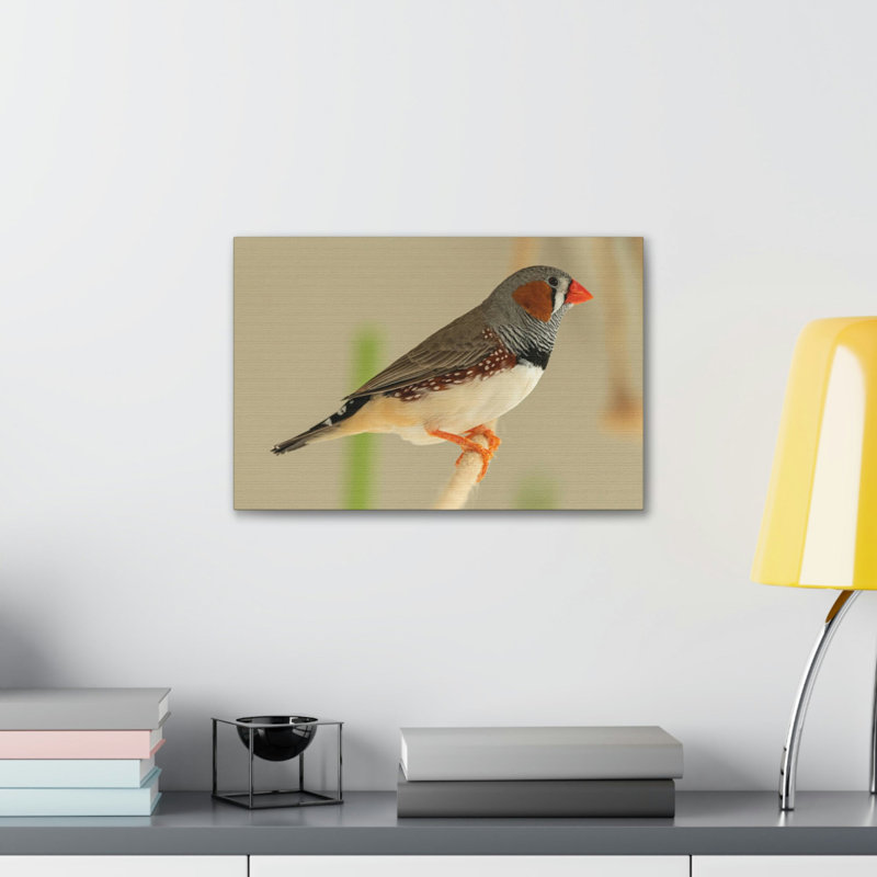 Art mural majestueux Zebra Finch, H 12 po x l 18 po