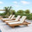 Erich Patio Acacia Wood Chaise Lounge With Adjustable Backrest & Triple-Fold Cushion-1734039237