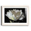 Pivoine blanche - reproduction de photo encadrée sur papier-1607024172-1607024182