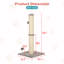 Grattoir pour chat 33 po-2104593738-2105478718