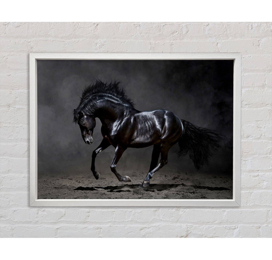 Black Beauty Horse - Einzelner Bilderrahmen Kunstdrucke auf Leinwand