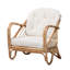 Fauteuil demi-tonneau capitonné en rotin l 29,5 po Capriles
