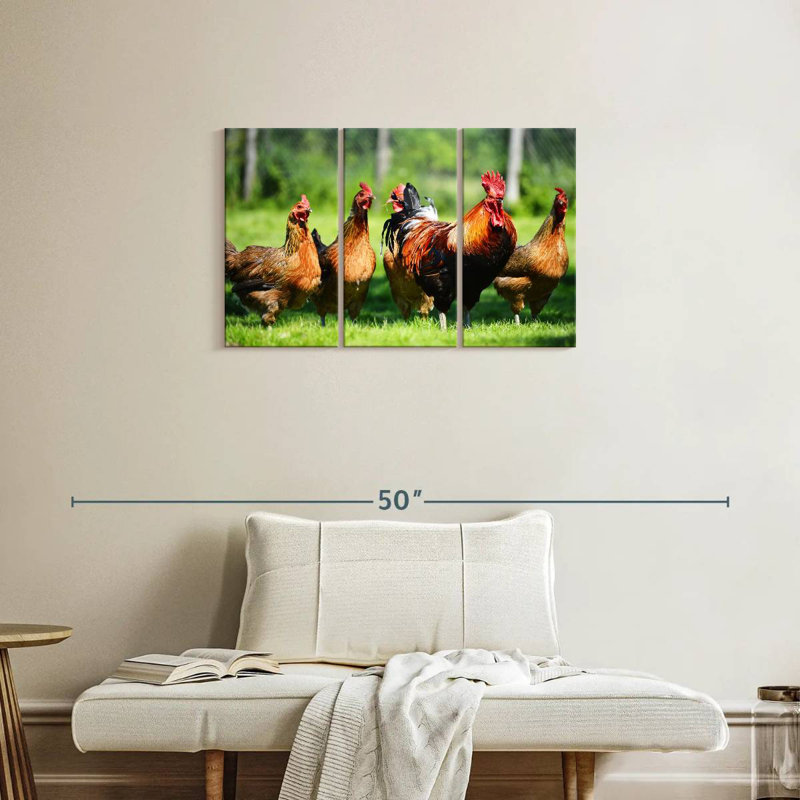 Poulets d'extérieur Brampt, H 20 po x l 33 po