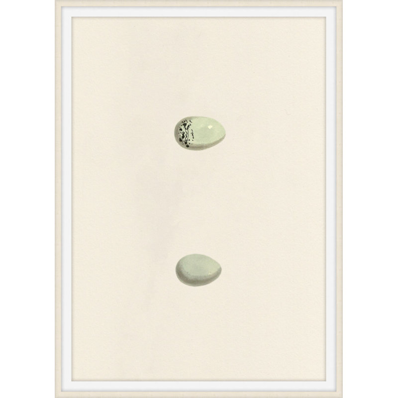 Unhatched 2 Framed Print, 26" H x 20" W