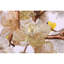 Lustre Araiyah lumière amande clair-560991741-560991680-560991693