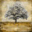 « stately », impression sur toile-20911619-73085217-73085265