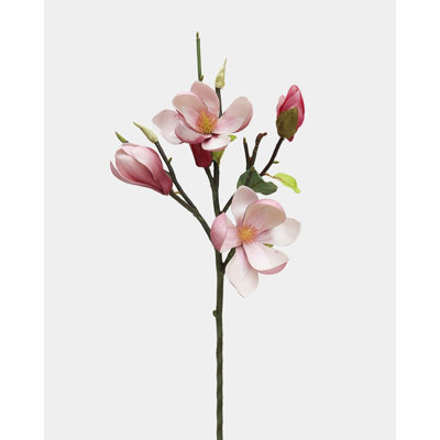 Tige de magnolia rose 20 po