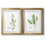 Fresh Sprig Thym - ensemble de 2 reproductions d'art-296303770-296303776-296303778