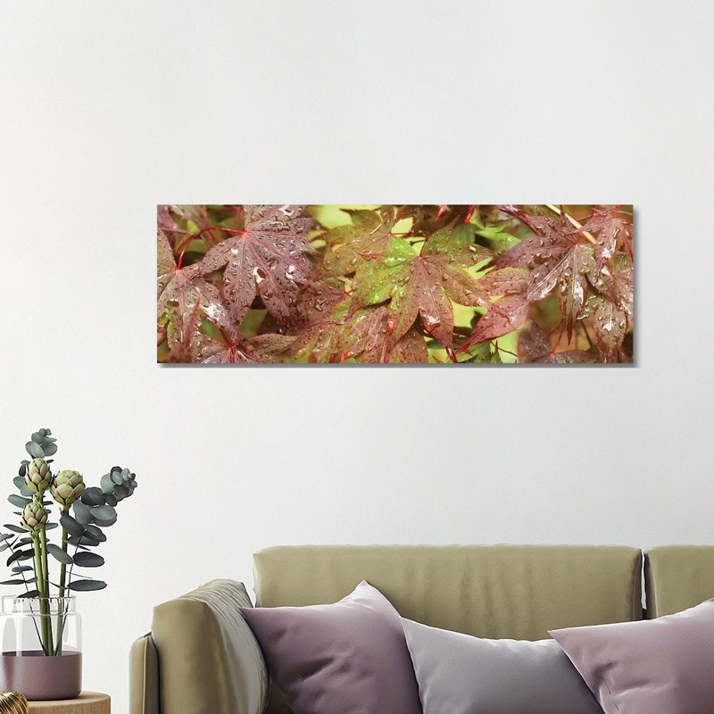 Close-Up of Japanese Maple Leaves I 1 Piece Wrapped Canvas Panoramic Wall Art, 121.92 cm H x 40.64 cm W x 3.175 cm D