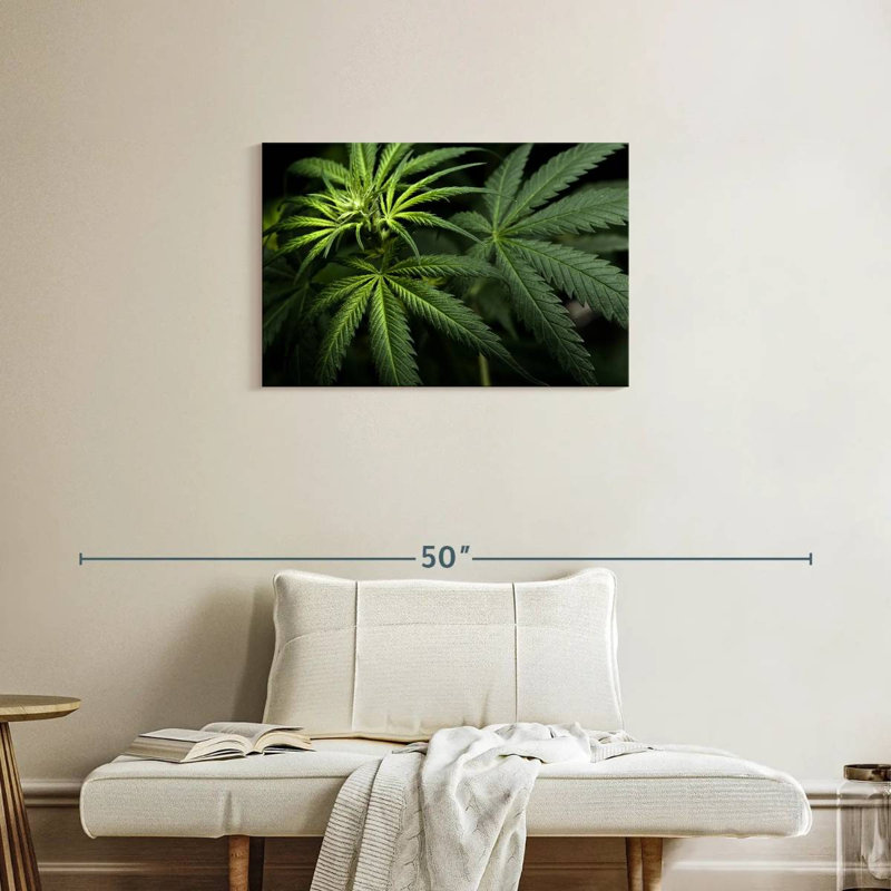 Cannabi dans le noir, H 20 po x l 30 po