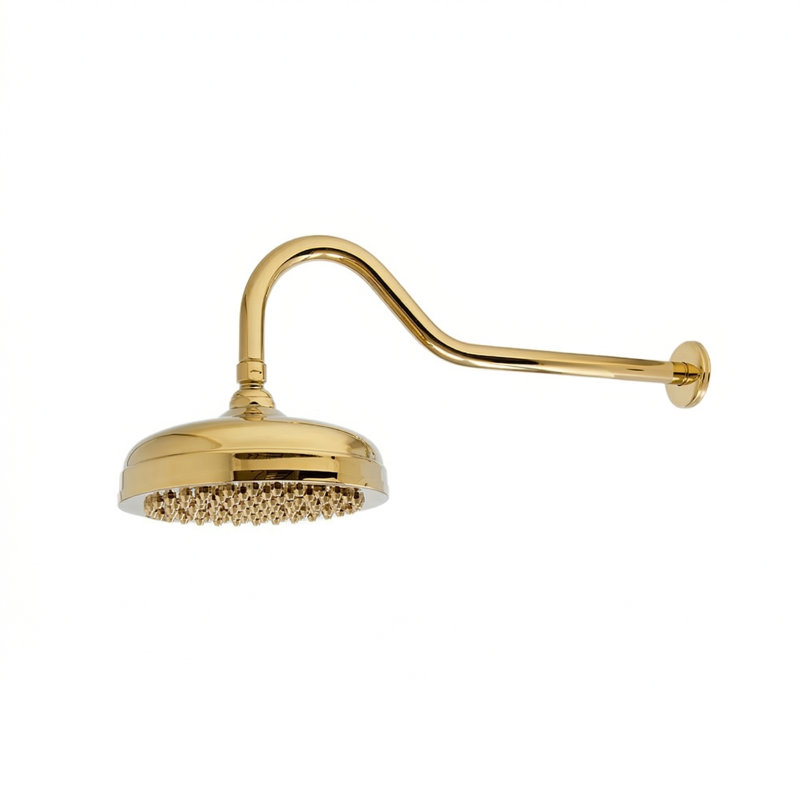 Pomme de douche à col de cygne de 8 po de diamètre avec 2,5 gal / min, Laiton poli non laqué