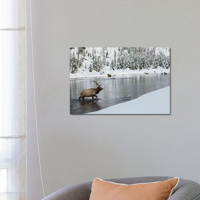 Bull Elk Crossing River 1 Piece Wrapped Canvas Wall Art