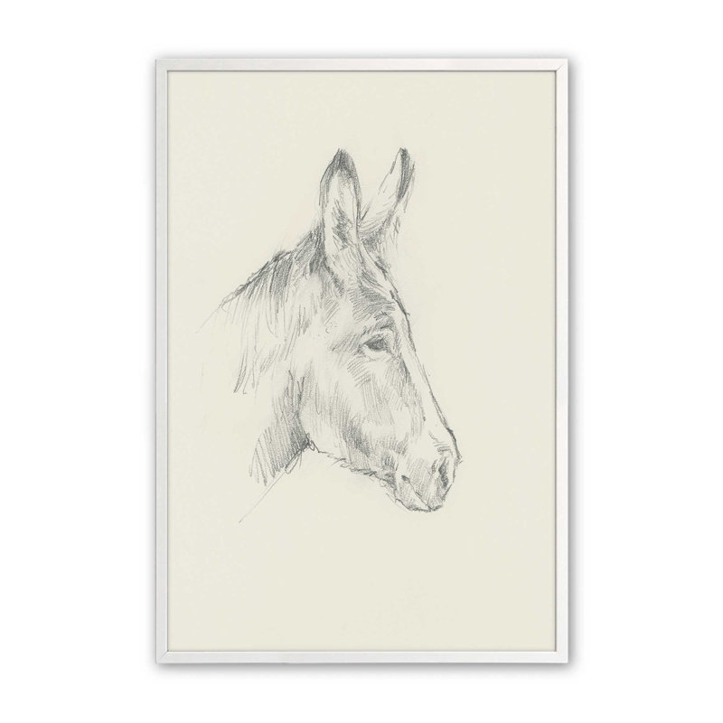 «Donkey Study I» par Ethan Harper, reproduction d'art sur toile, Impression sur cadre ouvert sans papier mat, Blanc