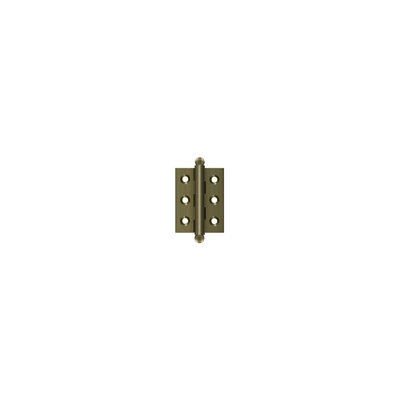 10'' x 10'' Solid Brass Traditional Hinge