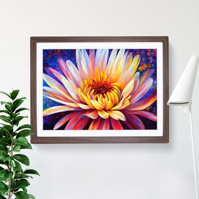 A Chrysanthemum Flower - Framed Print