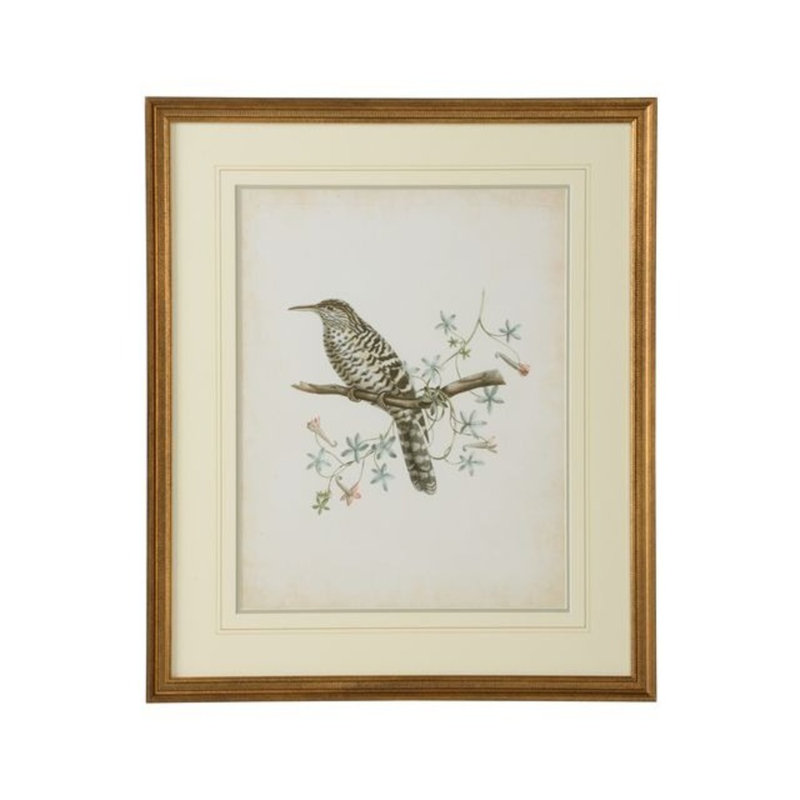 Gold Framed Delicate Birds Graphic Art Print