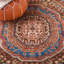 Oriental Hand-Knotted Wool Brown / Rust Area Rug-1333977350
