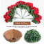 18.9 " Arrangement-1383776940