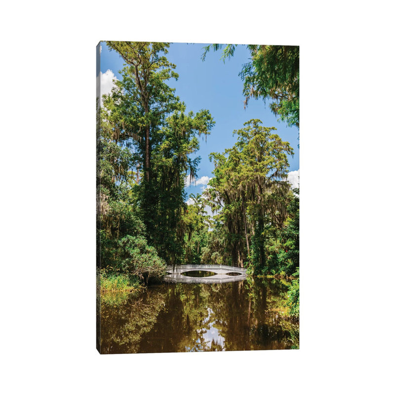 " Charleston's Magnolia Plantation V " by Bethany Young, 18" H x 12" W x 1.5" D