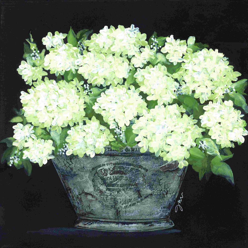 Seau d'hortensia boule de neige, H 20 po x l 20 po