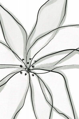 Wrapped Canvas Print, 121.92 cm H x 81.28 cm W
