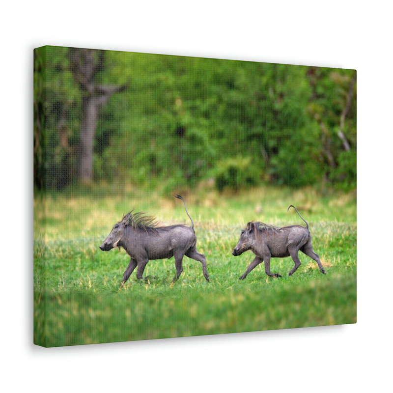 No Frame Print on Canvas