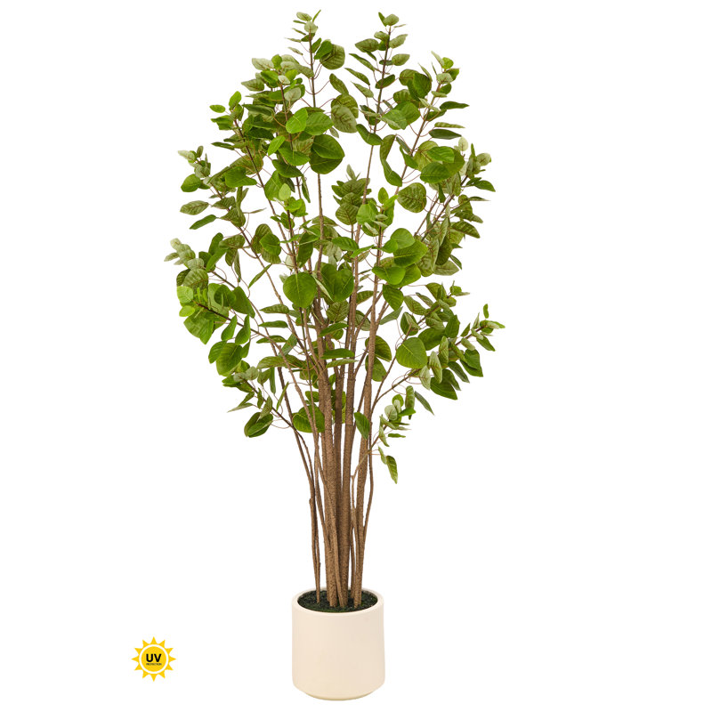 Arbre à fumée en pot 5 pi UV, 60 in x 22 in