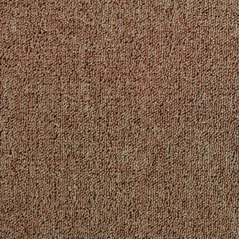 Floraine 50cm W x 50cm L Level Loop Polypropylene Carpet Tile